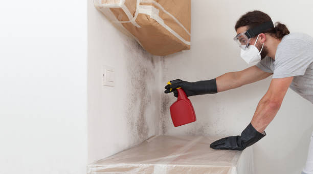Professional Bathroom Mold Removal technician working in Newtown Square, PA
