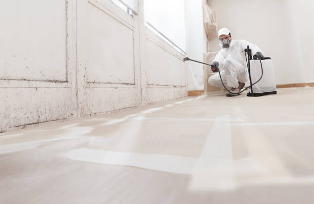 24/7 Emergency Bathroom Mold Removal experts in Newtown Square, PA