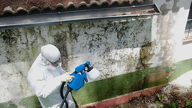 Top rated local Bathroom Mold Removal specialists in Newtown Square, PA
